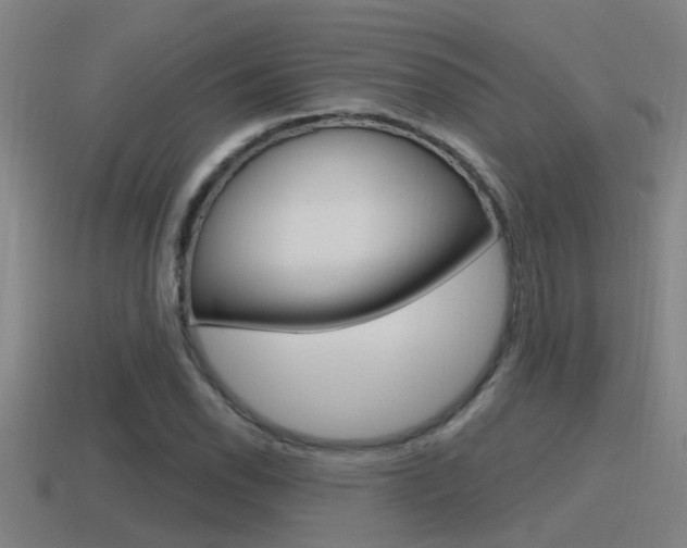 X0000115491118200911060956