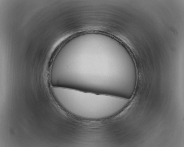 X0000115491119200911060956