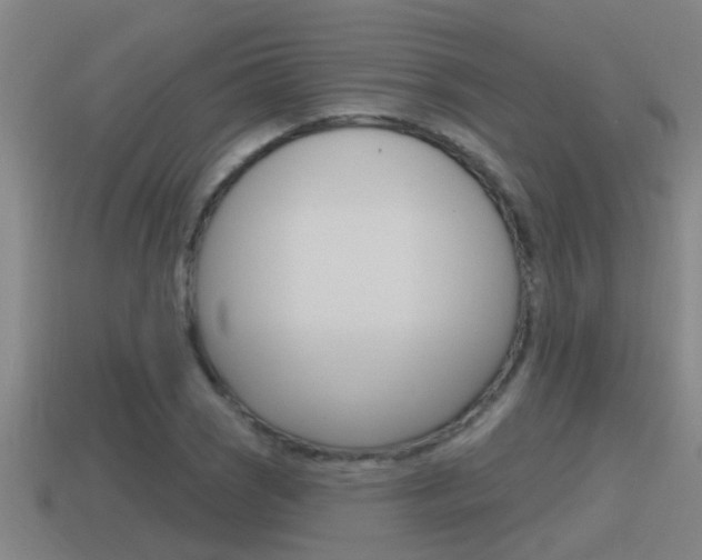 X0000115491121200911060956