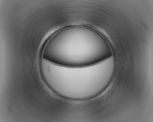 X0000115491122200911060956
