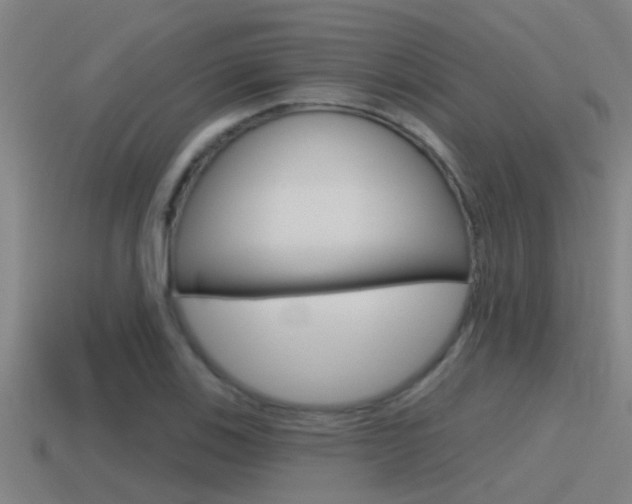 X0000115491123200911060956