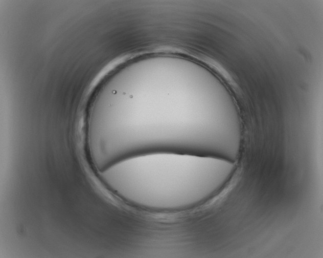 X0000115491126200911060956