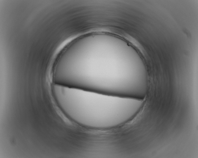 X0000115491127200911060956