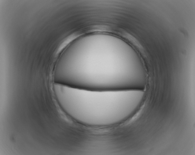 X0000115491129200911060956