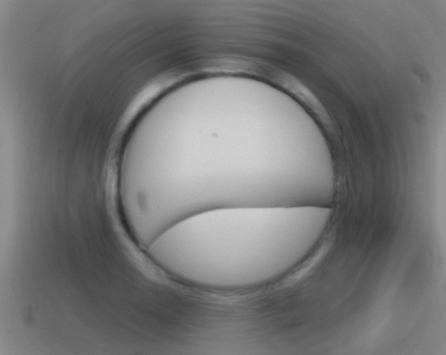 X0000115491130200911060956