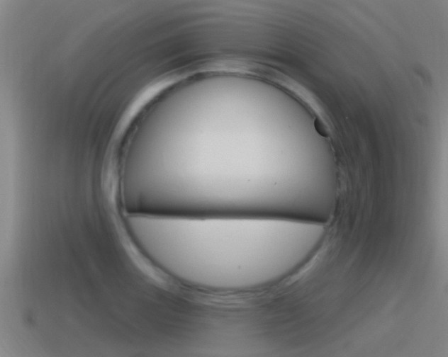 X0000115491131200911060956