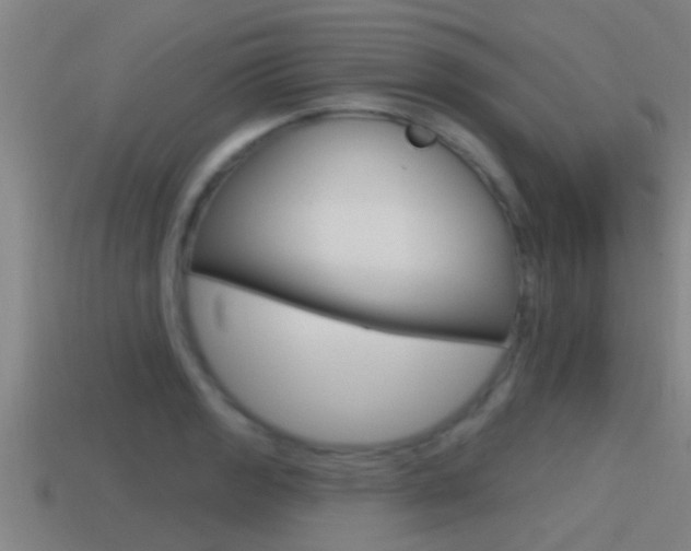 X0000115491133200911060956