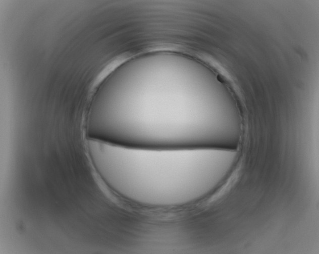 X0000115491137200911060956