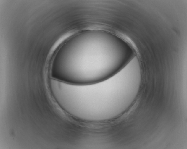 X0000115491138200911060956