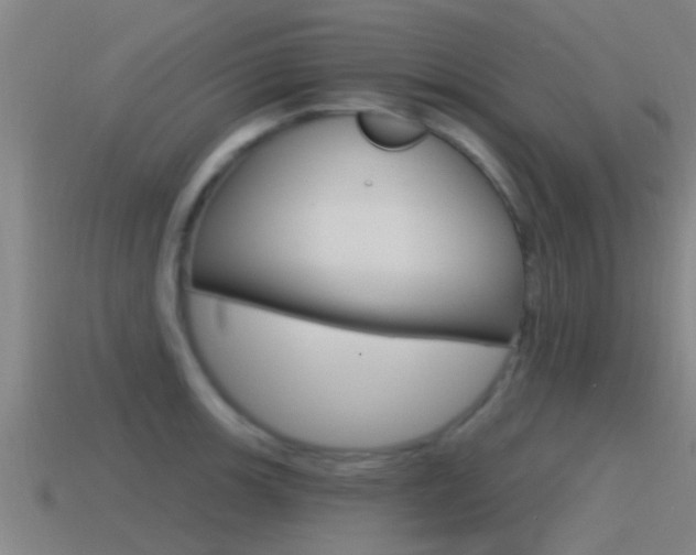X0000115491139200911060956