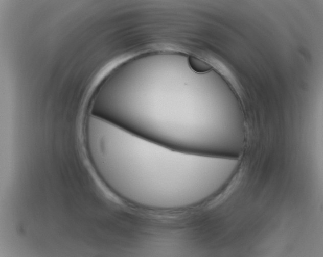 X0000115491141200911060956