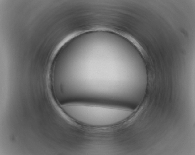 X0000115491142200911060956