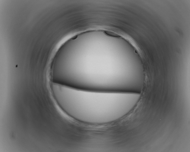 X0000115491143200911060956