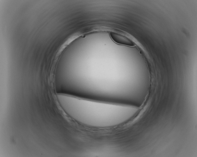 X0000115491145200911060956
