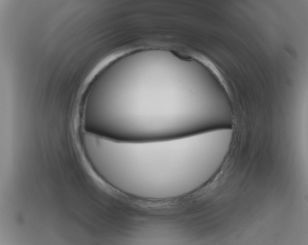 X0000115491147200911060956