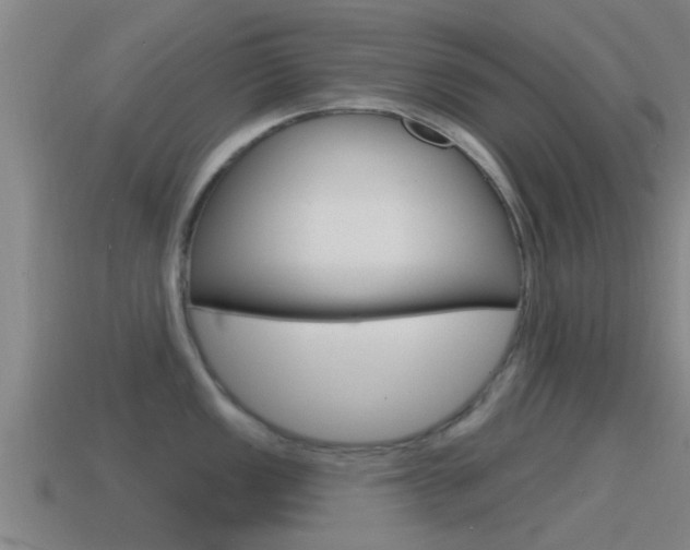 X0000115491149200911060956