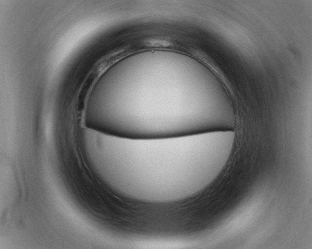 X0000115491151200911060956