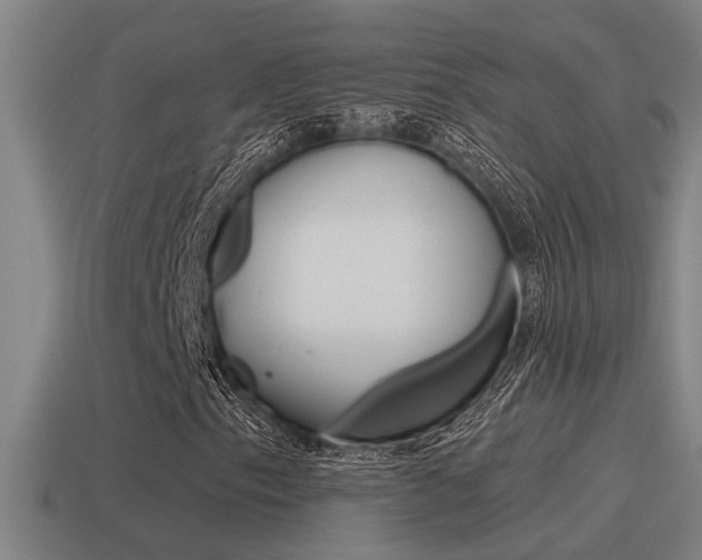 X0000115491153200911060956