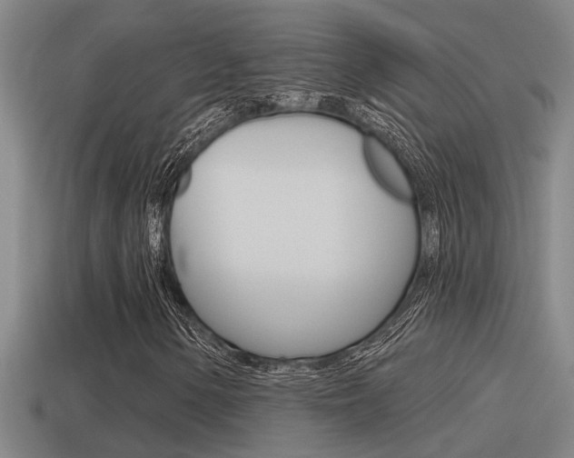 X0000115491154200911060956