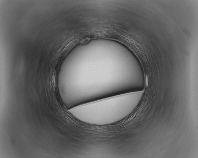 X0000115491155200911060956