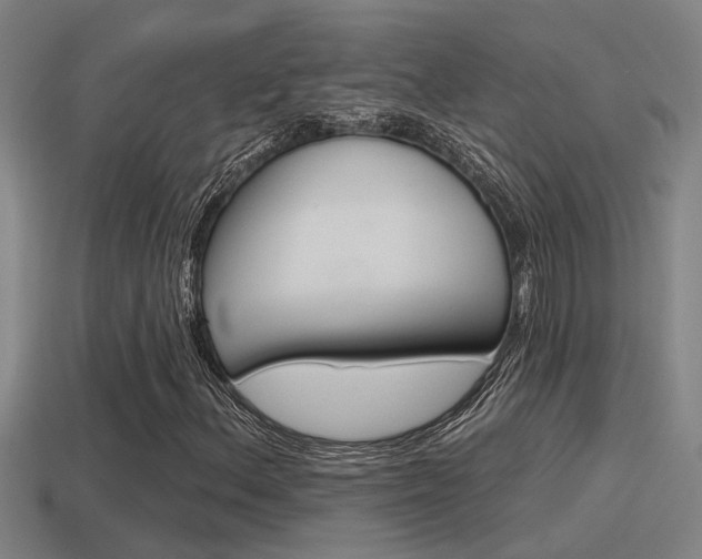 X0000115491156200911060955