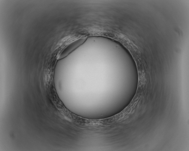 X0000115491157200911060955