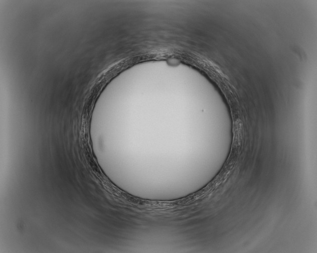 X0000115491158200911060955