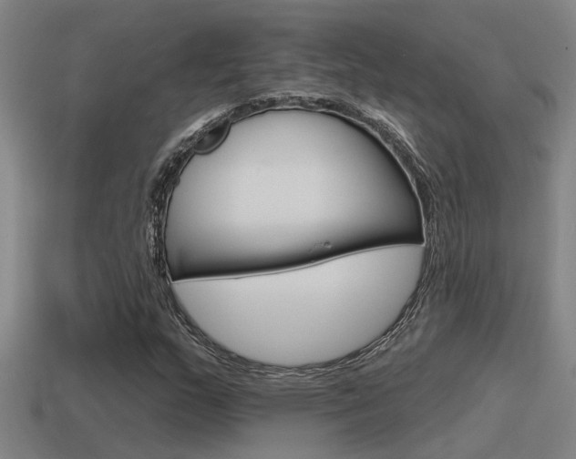 X0000115491159200911060955