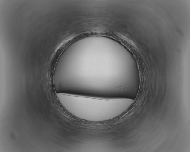 X0000115491160200911060955