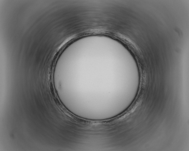 X0000115491162200911060955