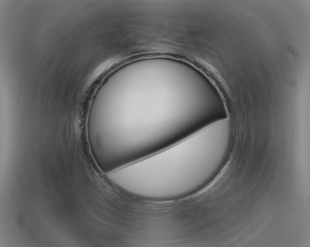 X0000115491163200911060955