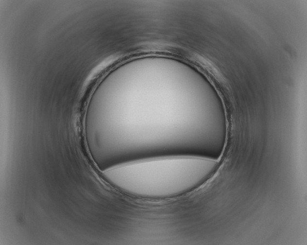 X0000115491164200911060955
