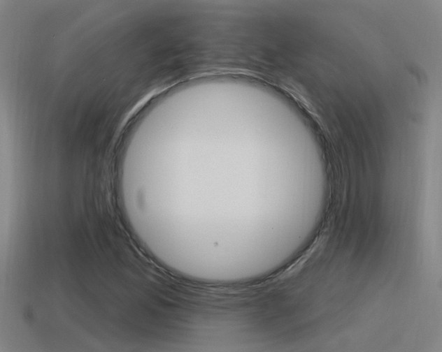 X0000115491165200911060955