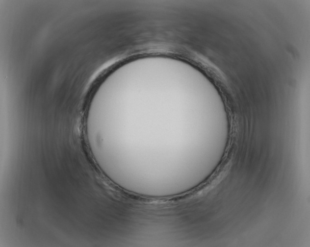 X0000115491166200911060955