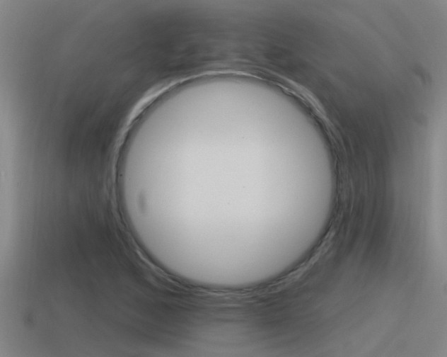 X0000115491168200911060955