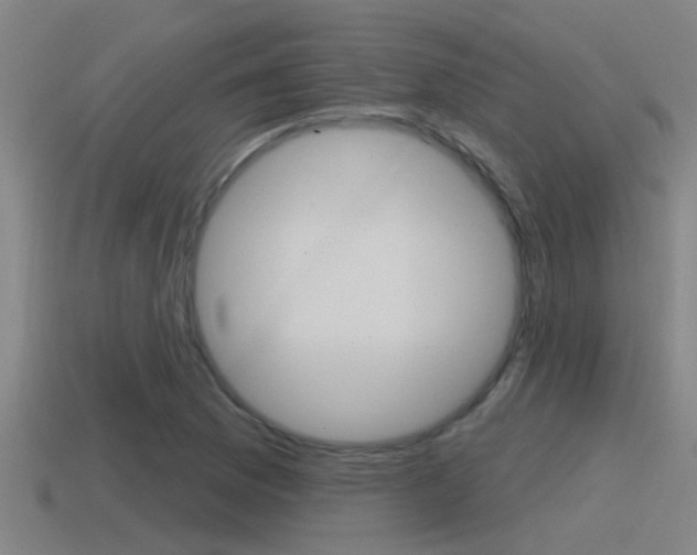 X0000115491169200911060955