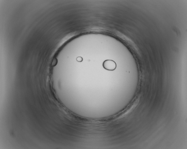 X0000115491170200911060955