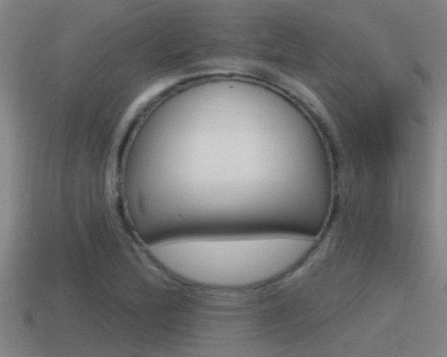 X0000115491172200911060955