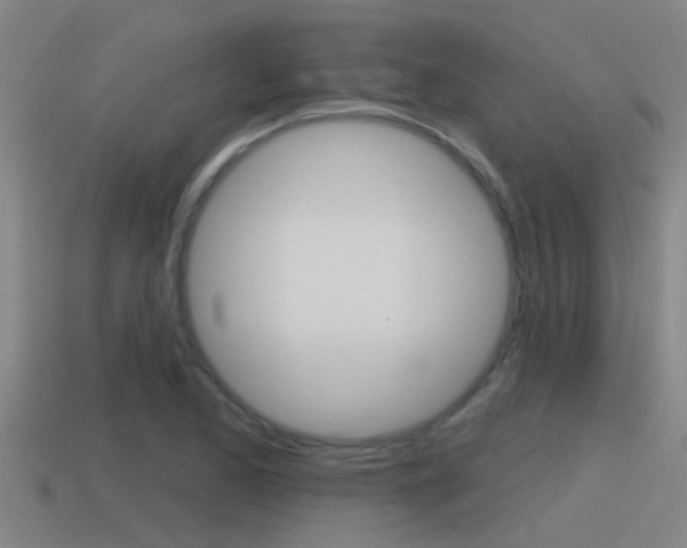 X0000115491173200911060955