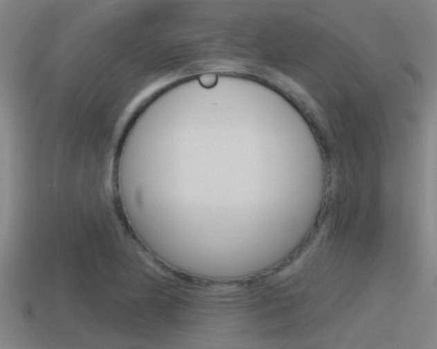 X0000115491174200911060955