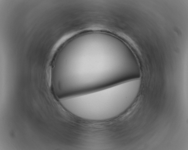 X0000115491175200911060955