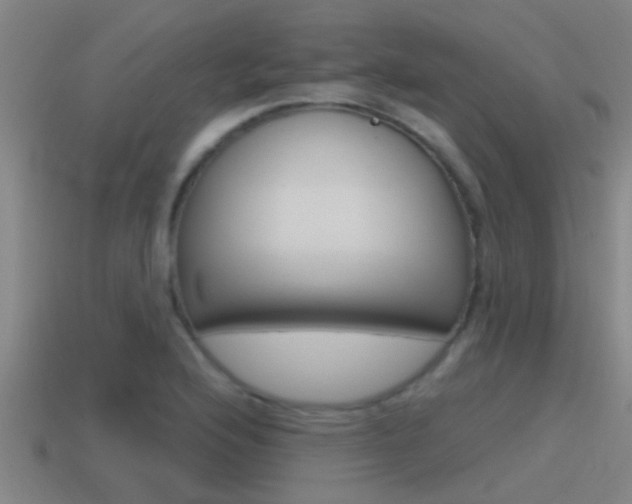 X0000115491176200911060955