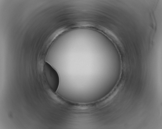 X0000115491177200911060955