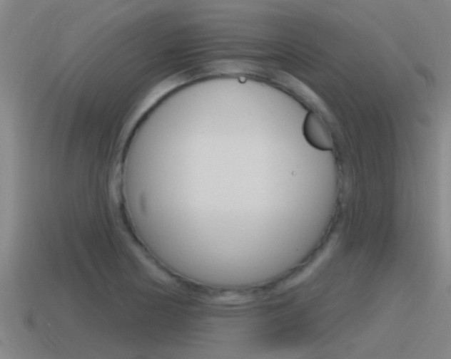 X0000115491178200911060955