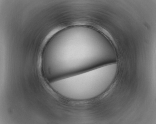 X0000115491179200911060955