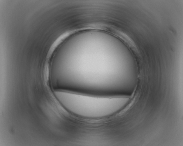 X0000115491180200911060955