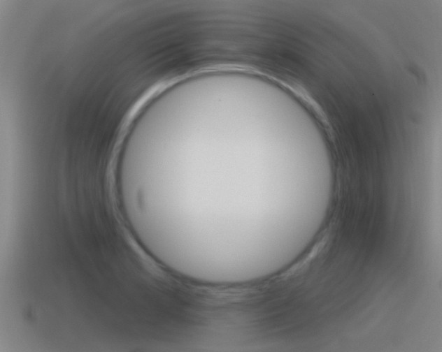 X0000115491181200911060955