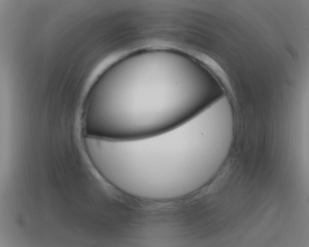X0000115491183200911060955