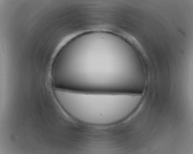 X0000115491184200911060955