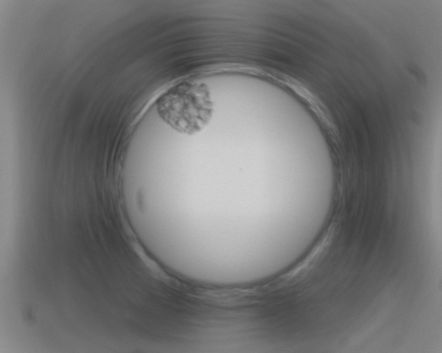 X0000115491185200911060955